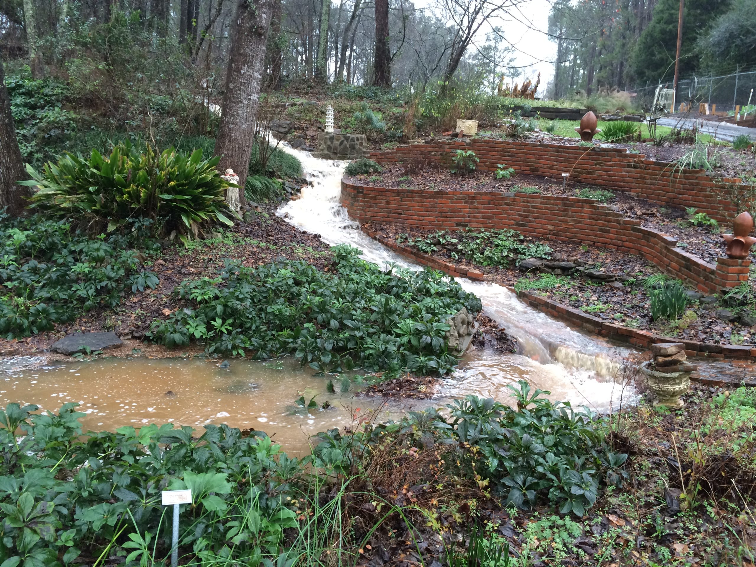 Garden flooding at the Simonton Bridge Daylily Farm