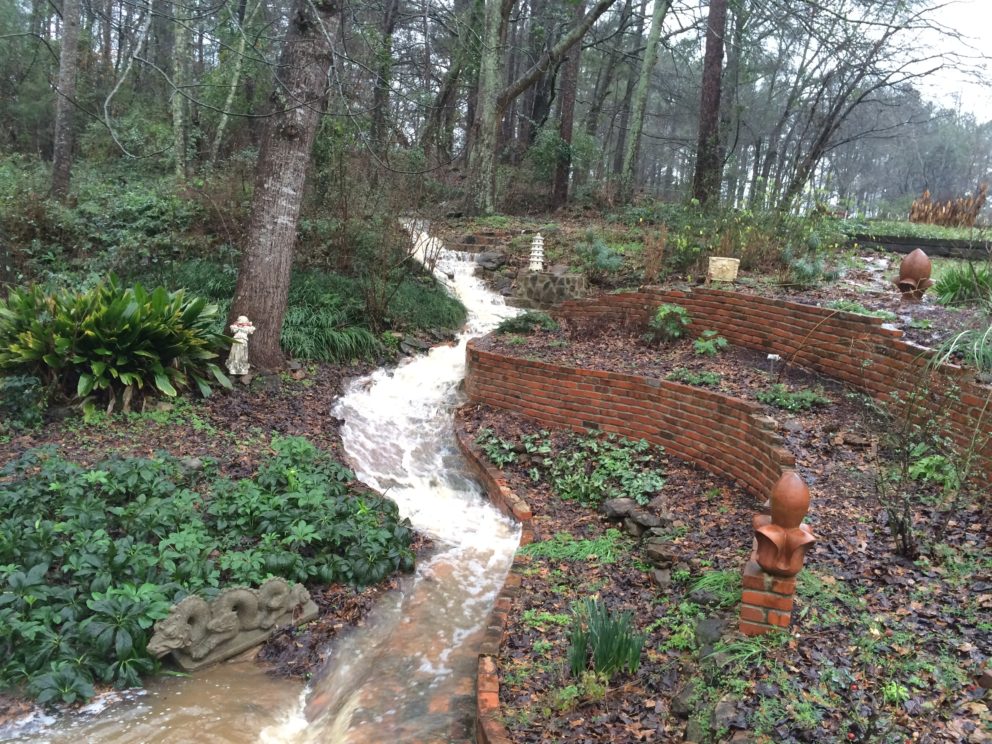 Garden flooding at the Simonton Bridge Daylily Farm