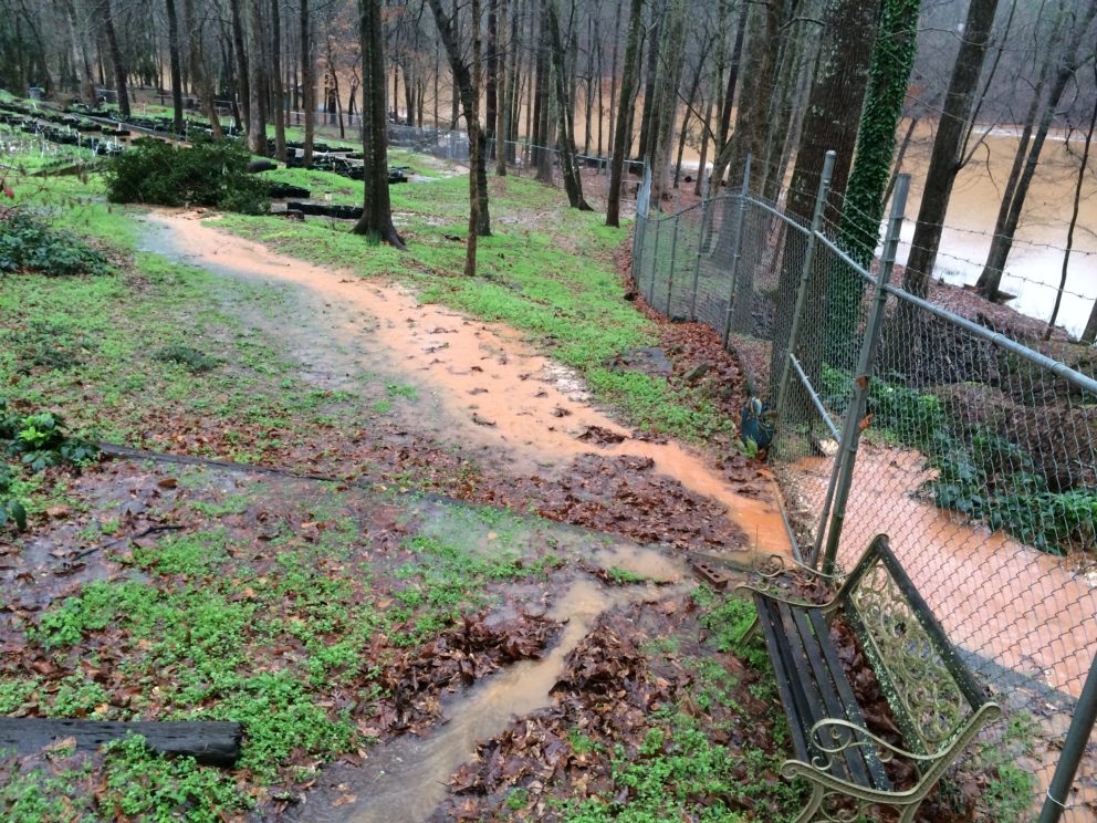 Garden flooding at the Simonton Bridge Daylily Farm