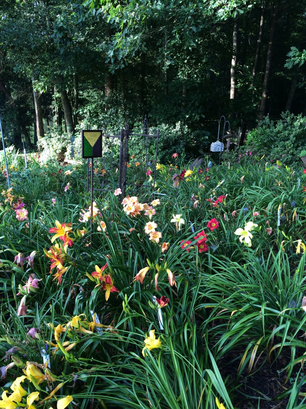 Simonton Bridge Daylily Farm