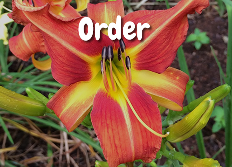 order